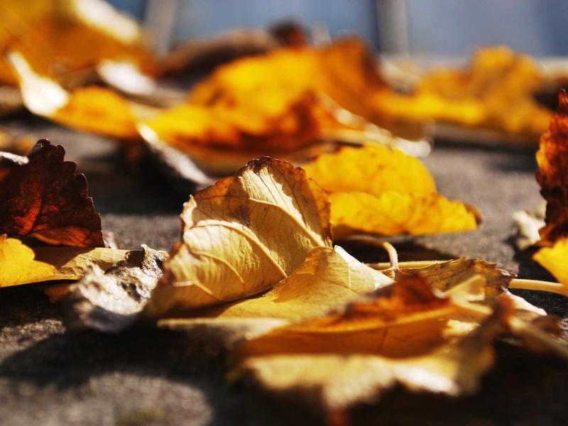 顶级思维法套装7册