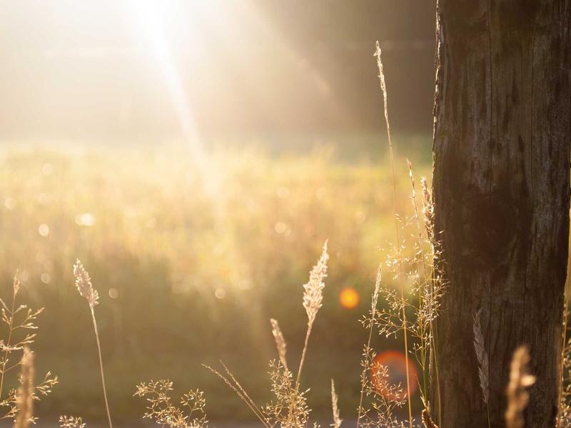 用声音修炼气场完结