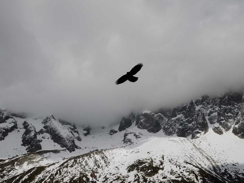 扑克牌千术揭秘