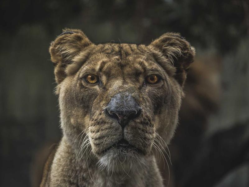 女性必备20堂情趣指南课