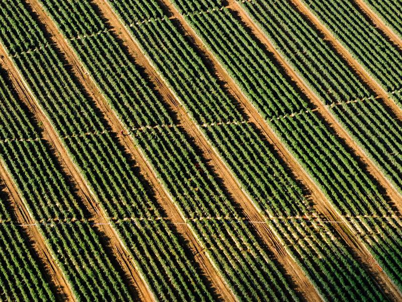 房中技巧班高级研修班