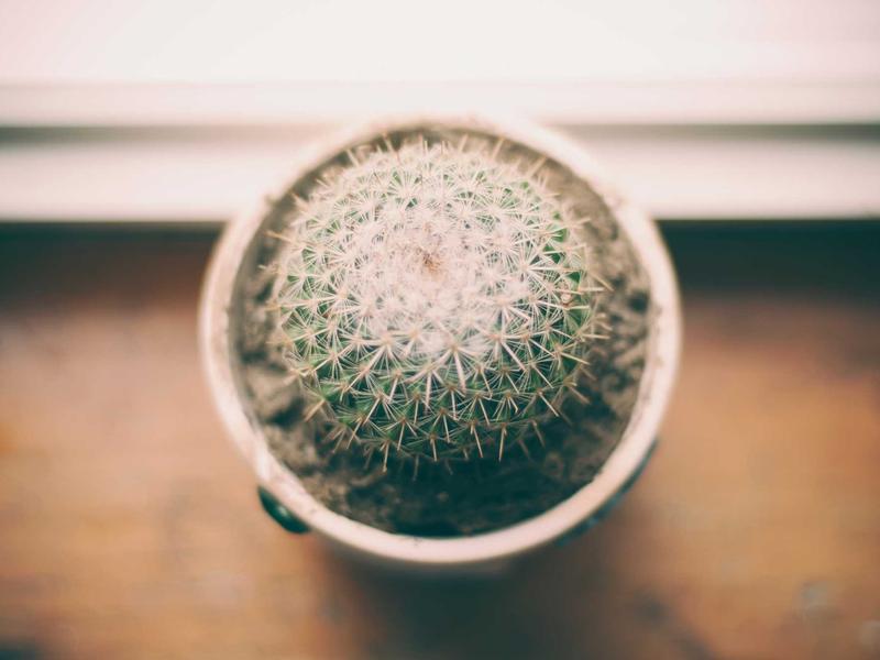 PPT简历模板免费下载