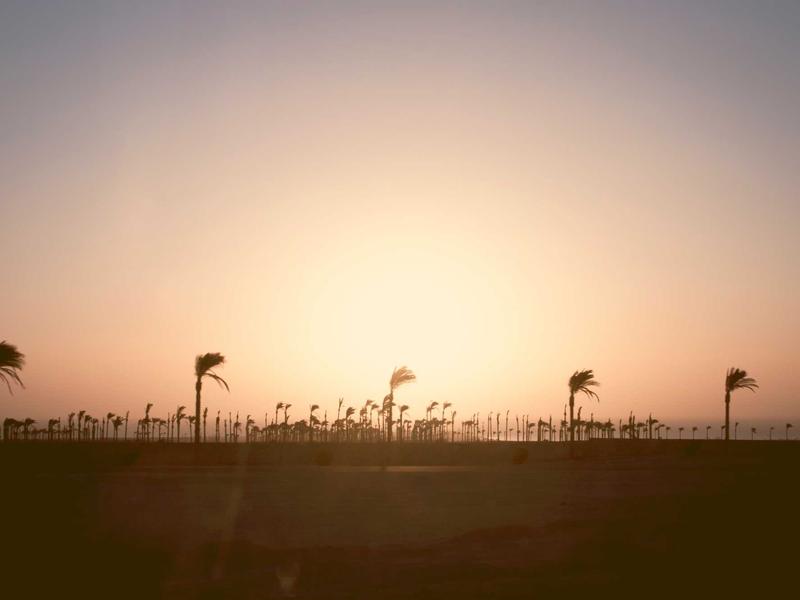 60种编程语言学习书籍