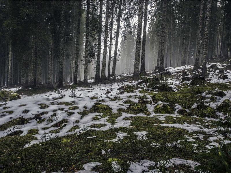 零基础化妆入门课程