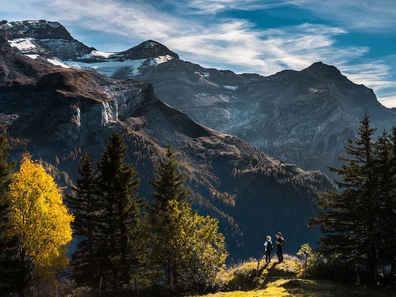 炒股养家传记新版