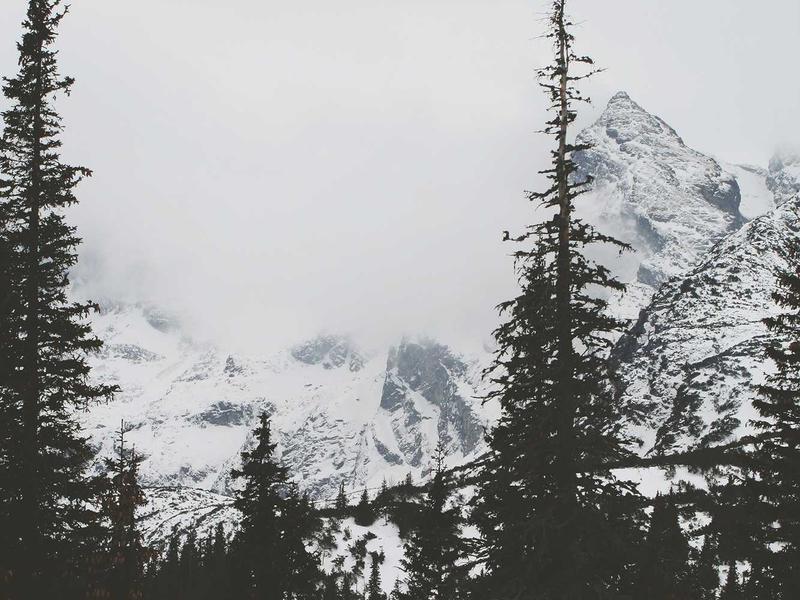 情感文案情感语录系列