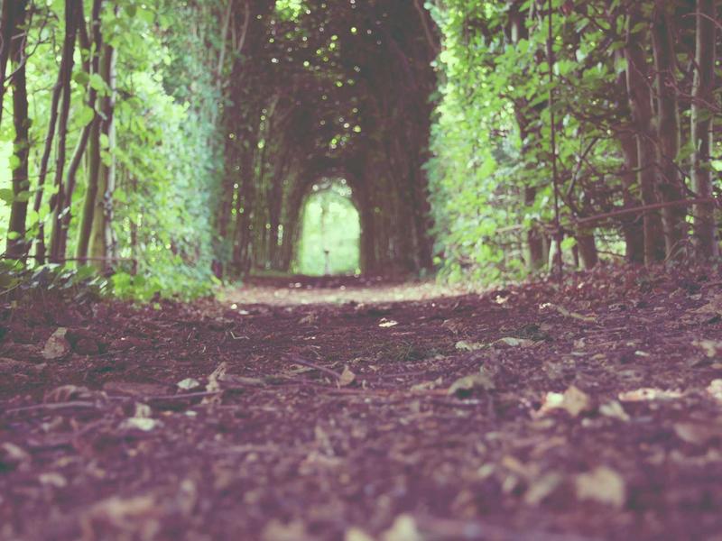 最新监理资料精整合集