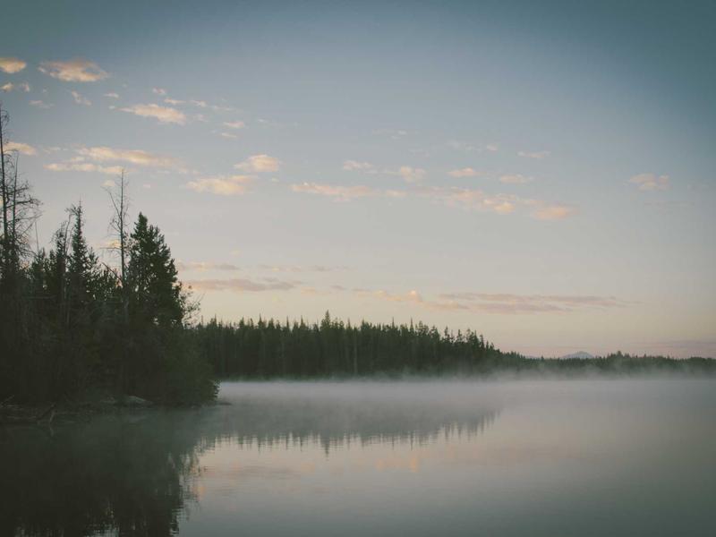 新知文库合集4000册