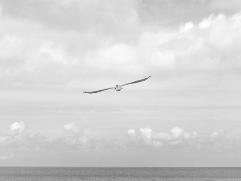 倪海厦课程汇总