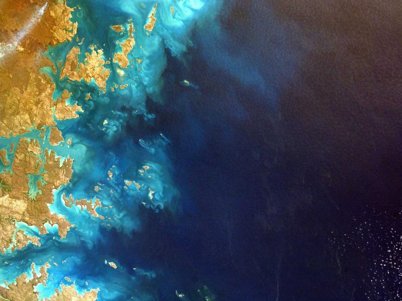 杏林医学苑穴位232集全