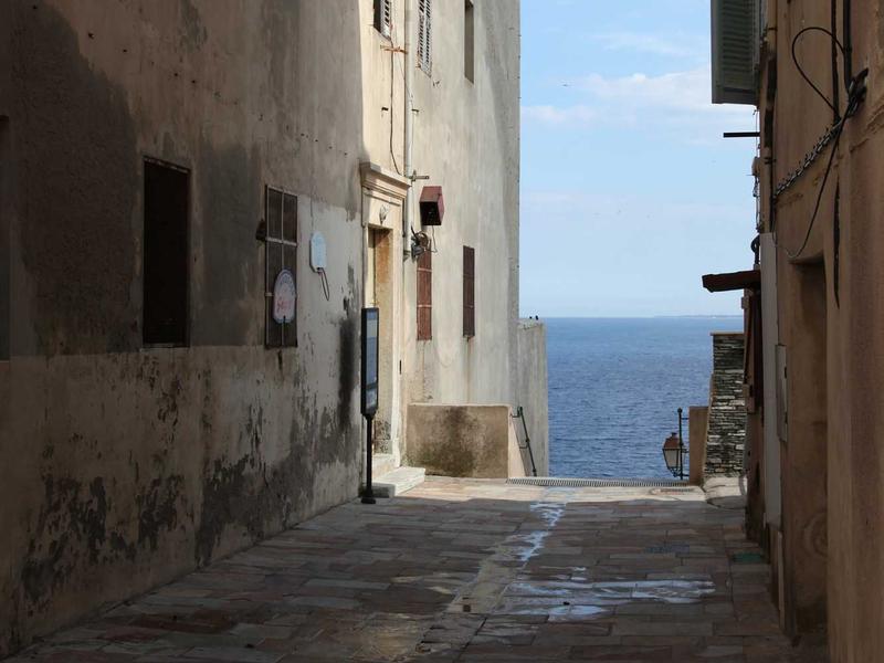 普林斯顿大学馆藏中文古籍300册