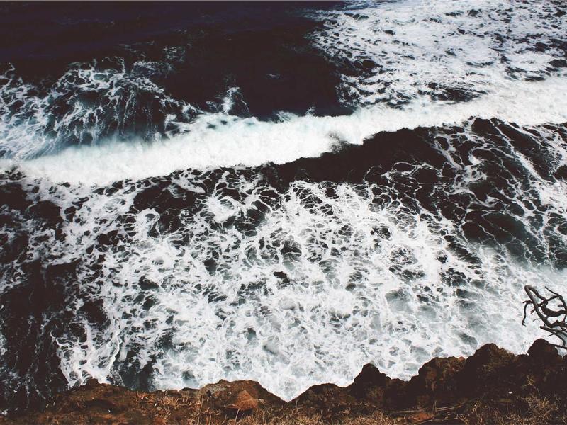 中华现代学术名著丛书279种