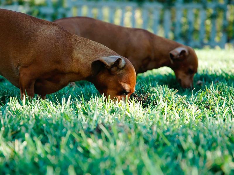 中华玄学文化书系