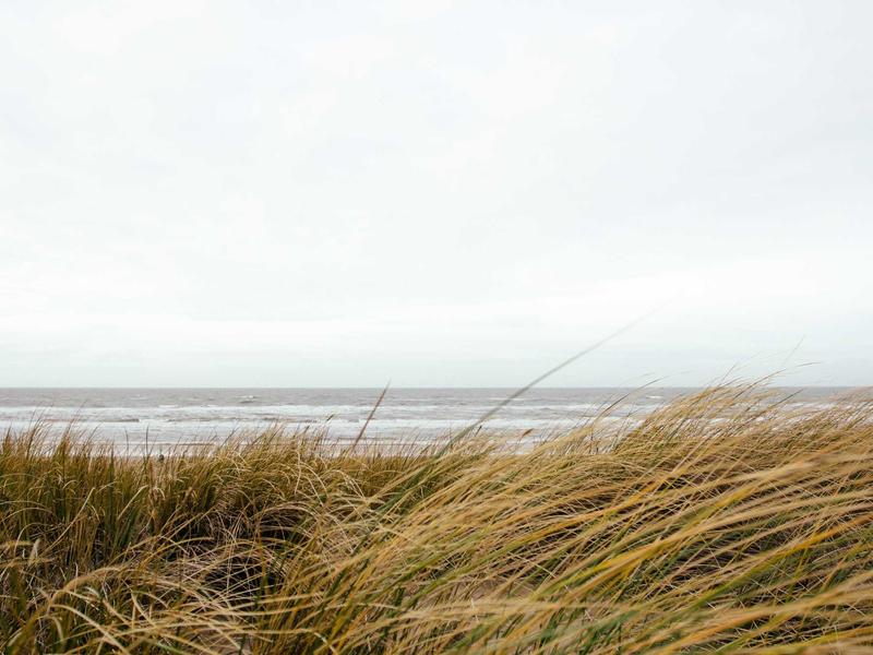 第95届奥斯卡电影合集