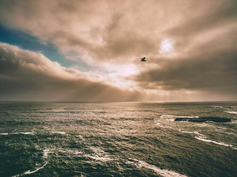 安卓解析机器人高级版