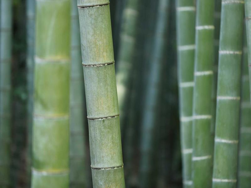 视频音频批量格式转换器v2.0