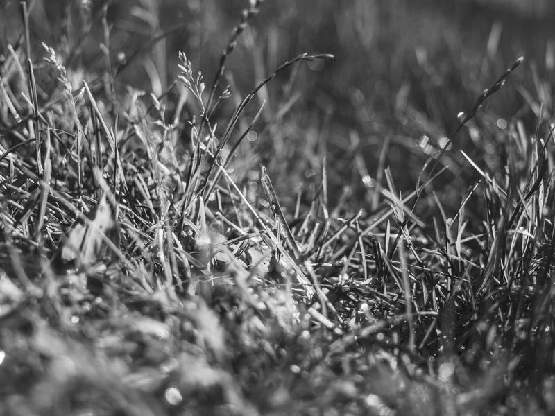 开发全能工具箱He3