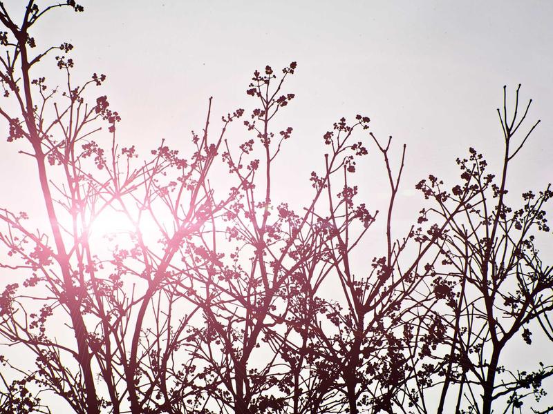 手机照片恢复管家VIP版