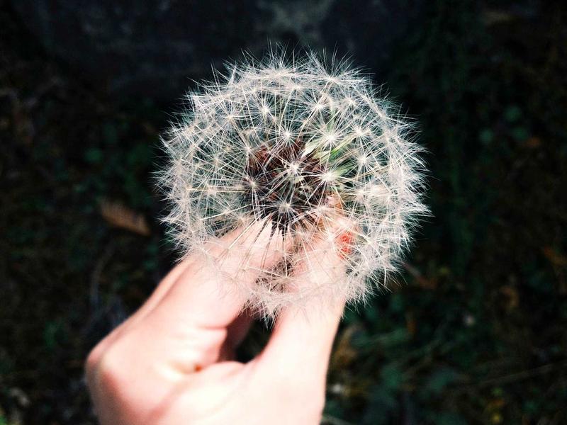 洛雪音乐附最新可用音源