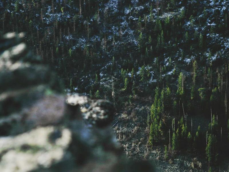 Listen1全网音乐免费听