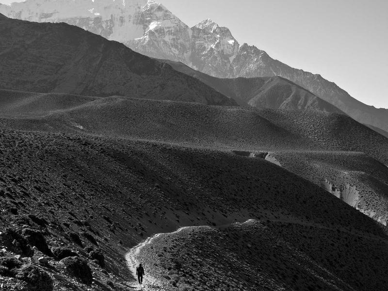 宫崎骏电影系列合集