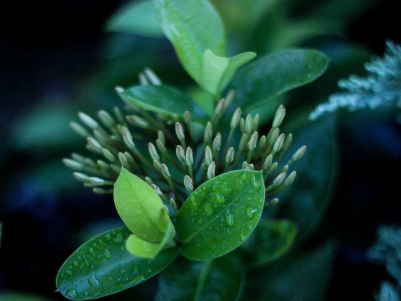 七部经典大尺度影视剧合集【超清】