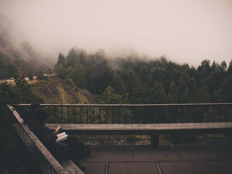 电商课程拼多多运营必听10节课