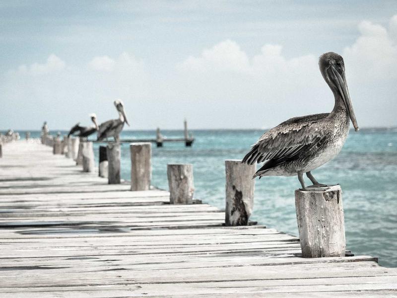 十三天快速通关高中历史