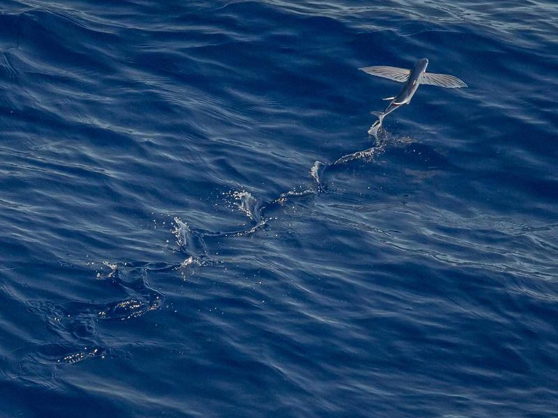 2025年7节课搞定国考常识