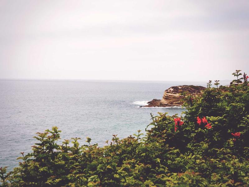 初中各科知识点梳理