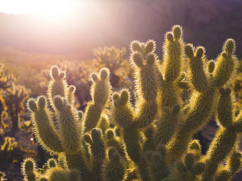 各种酿酒教程合集