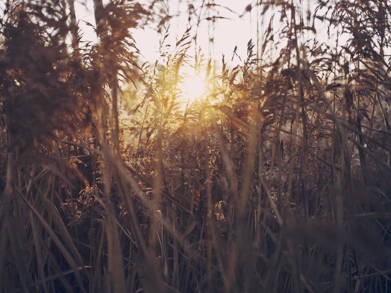 国宴大师教做菜【120道菜合集】