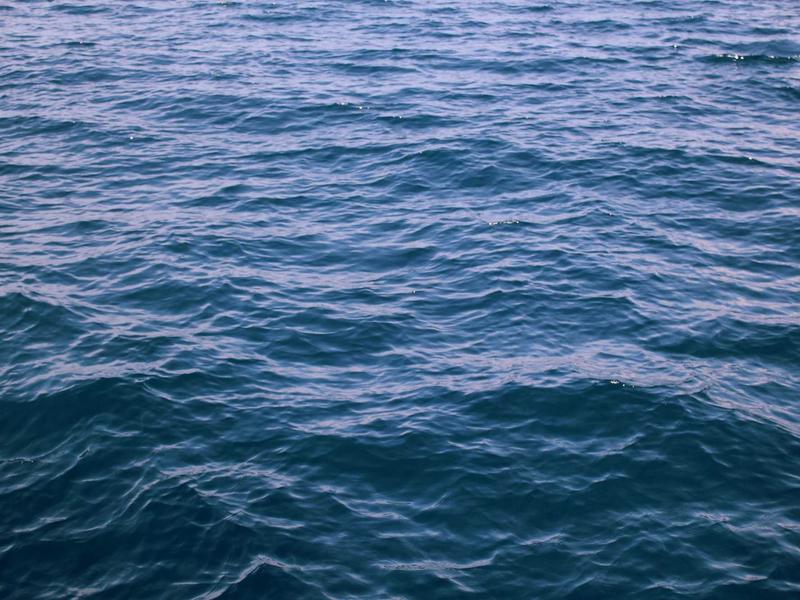 小白一学就会的短视频剪辑课