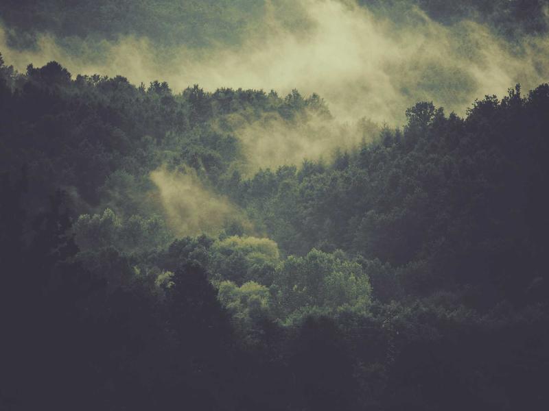 摄影剪辑教程大合集