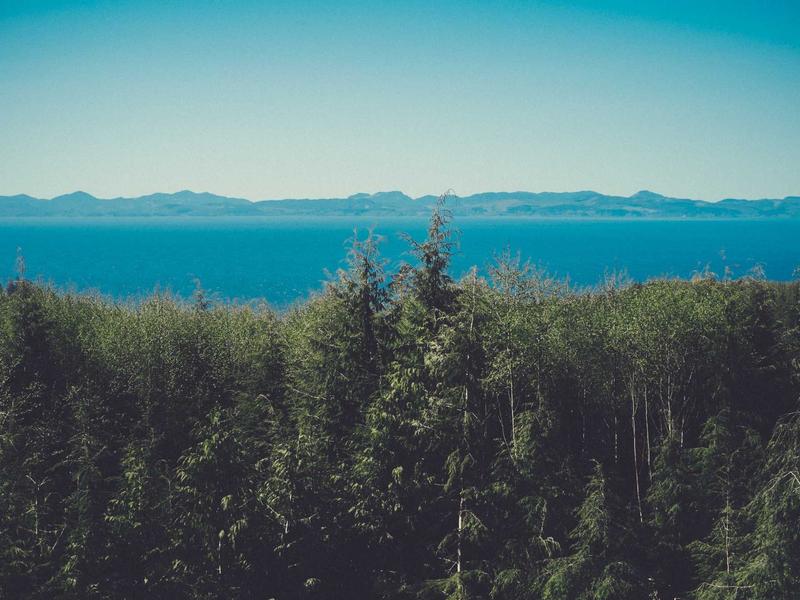 PS抠图0基础从入门到精通