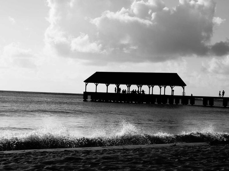 小红书玩法教程最全攻略【24套课】