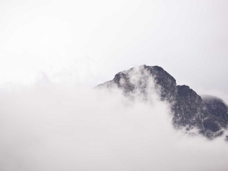 小红书带货42天训练营【无压货】