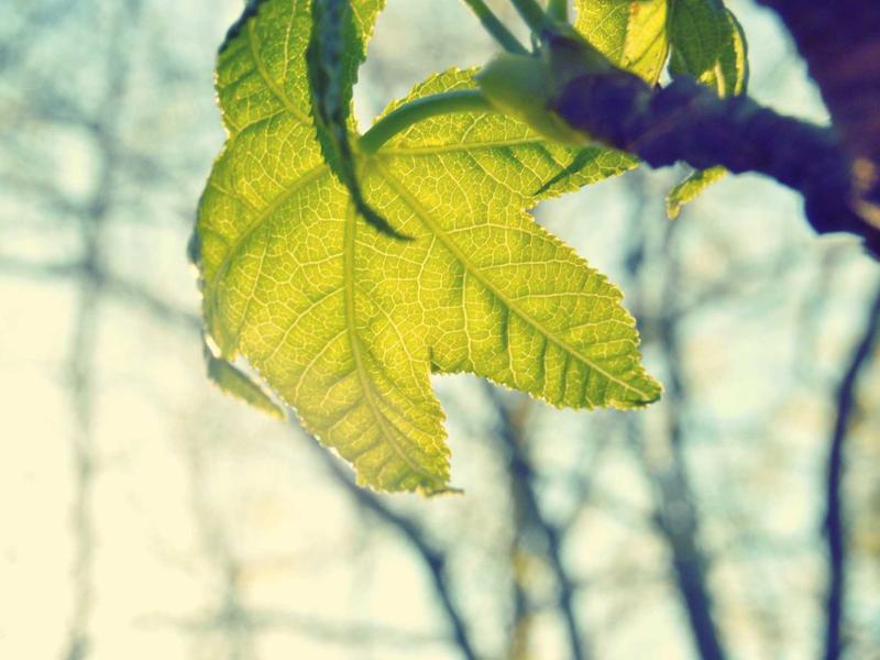 付费群流出写作教程【16合集】