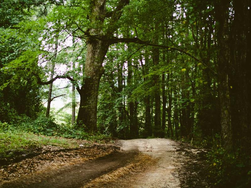 十三天快速通关高中历史