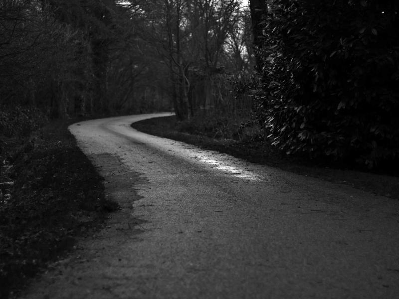 国考公考省考资料合辑【2024-2025】