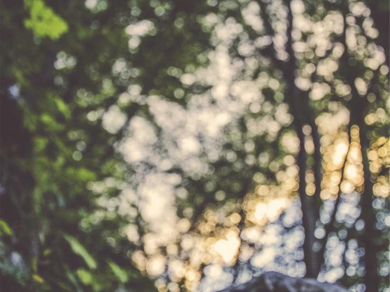 高考能力提升卷