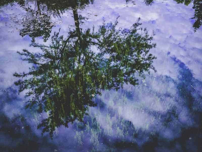 考神大牛韩语零基础0-TOPIK4全程班