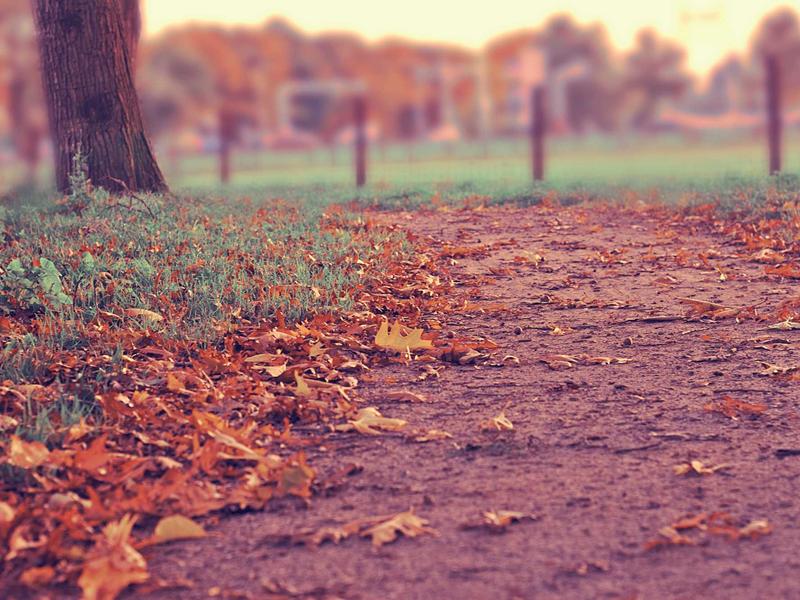 各种酿酒教程合集