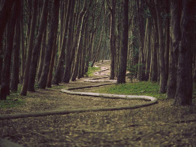 编绳手工坊：编绳基础结法