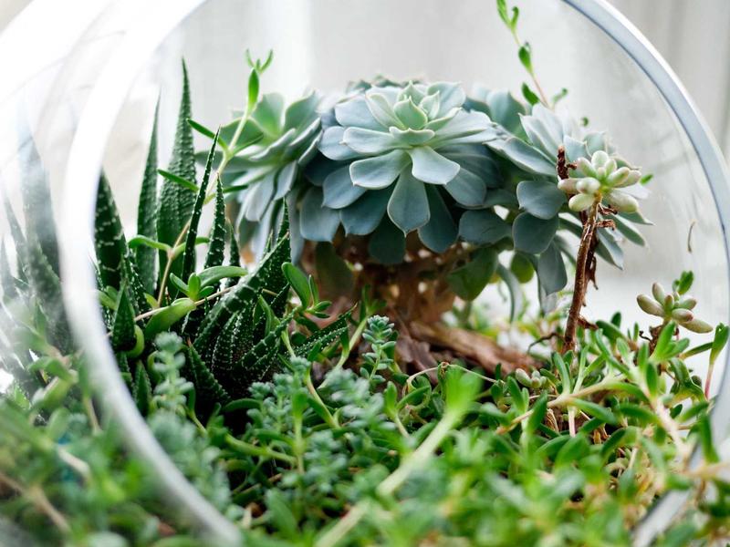 职场办公技能总教程