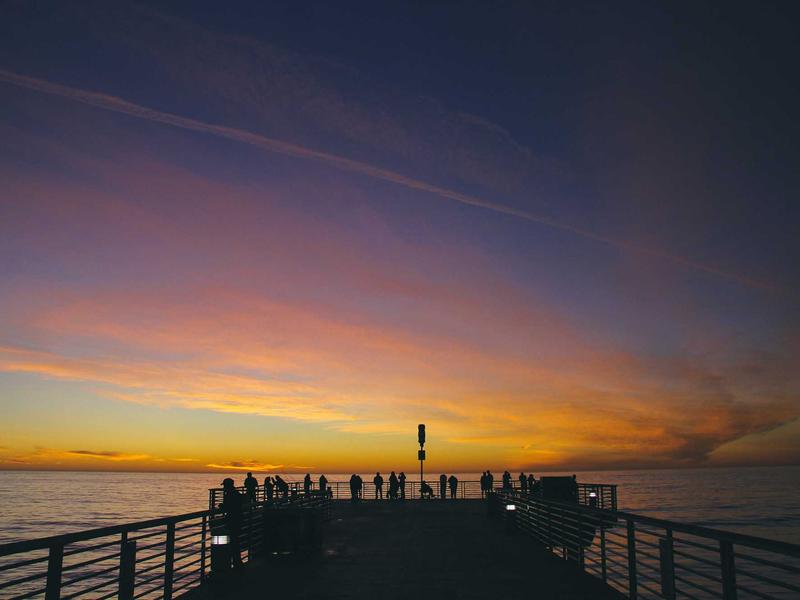 健身新手入门训练经验视频课程【37讲】