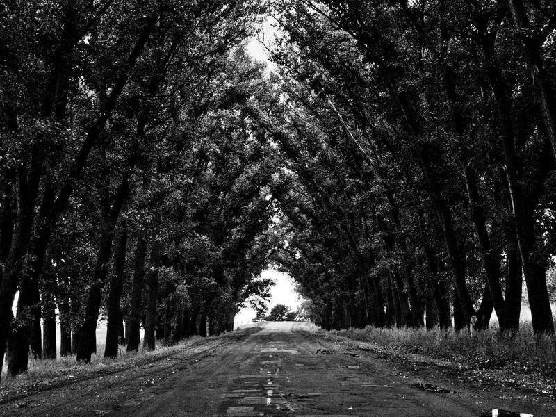 高情商沟通技巧视频课程