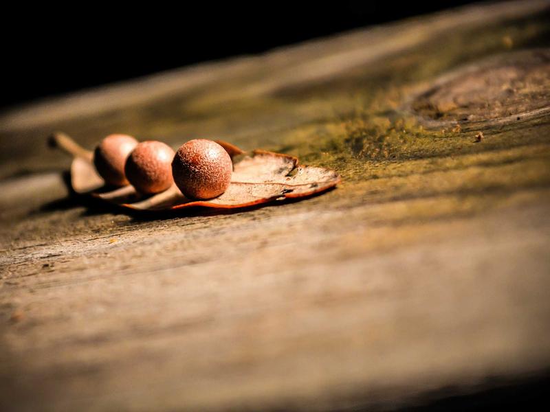 野菩萨AI绘画资深课｜全新视野知识重构