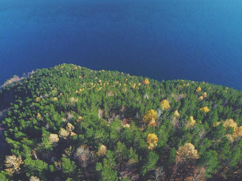 ChatGPT运营秘诀与变现攻略【100节课】