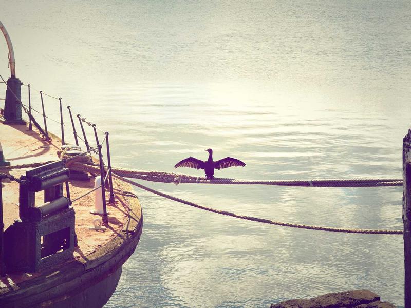 AI智能写作+爆款公式｜2025头条爆文速成